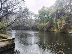 -柯岩风景区
