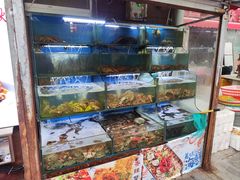 -桔子海鲜烧烤大排档(台东店)