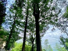 -莫干山风景区