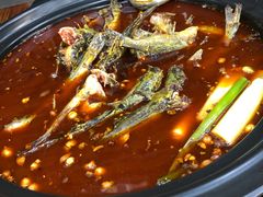 -金海椒罐罐鲢鱼(东方桂苑店)