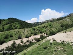 -中华福寿山