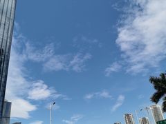 -莲花山公园