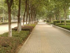 景点-后襄河公园