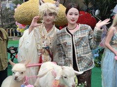 -灵玲国际马戏城