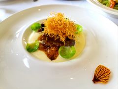 -蝶舍·MAISON PAPILLON