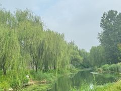 -北坞公园