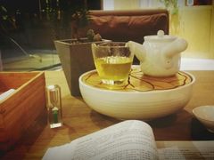 -柴务处·柴犬主题狗咖