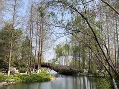 -桃花岛公园