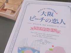 -关西国际机场直营免税店