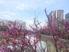 -常州明城墙
