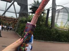 -飞天翼龙