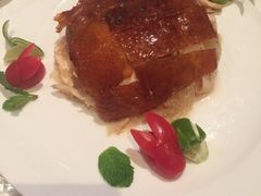 -8餐厅(新葡京酒店)