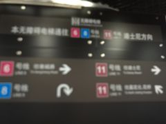 -东方体育中心(地铁站)