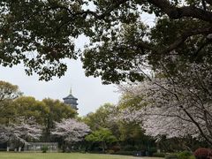 -浙江西子宾馆·牡丹厅