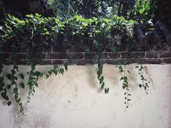 -王家大院