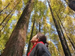 -山王坪喀斯特国家生态公园