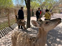 -水上乐园·欢乐世界