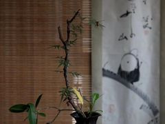 -茗丰茶艺馆(锦绣江南三期店)