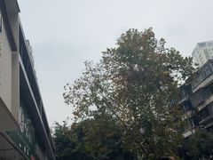 -川匠·睡眠采耳·SPA(九眼桥店)