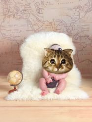 -小鬼当佳儿童摄影(回龙观店)