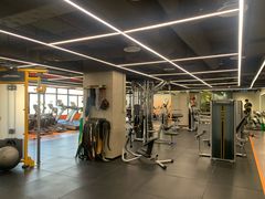 -健身专家Wellness Experts