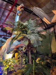 -恐龙探索乐园(磁器口店)