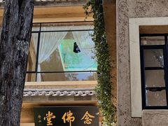 -寂照庵