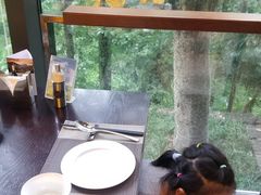 靠窗位-拾溪餐厅·包厢(杭州千禧度假酒店)