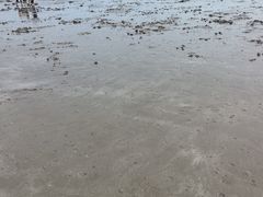 -万尾金滩