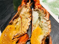 -黑松白鹿(崇文门新活馆店)