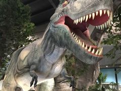 -湖南省地质博物馆