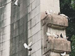 -音乐台
