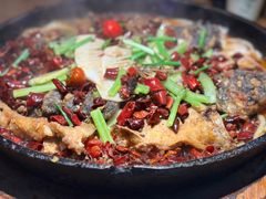 -老板恋上鱼(高新万达店)