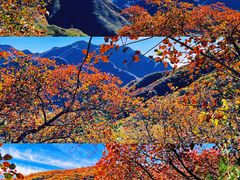 -沉浸北京·团建旅行·密室剧本杀·年会会议轰趴拓展