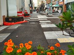 -宝健路步行街(Pedestrian Shopping Street)