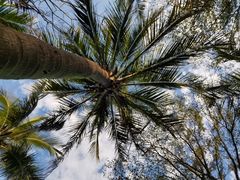 -白沙门生态公园