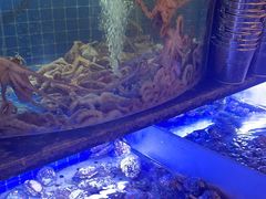 -福禧荟·海鲜自助
