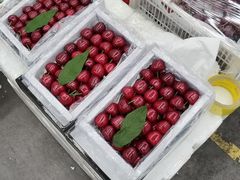 -西郊国际农产品交易中心