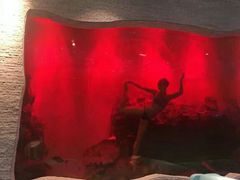 -瑞德姆美人鱼海底演艺主题餐厅(亚龙湾店)