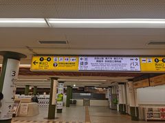 -奈良公园