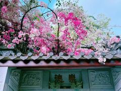 -深圳国际园林花卉博览园