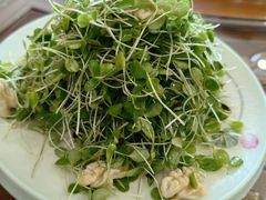 -民族饭荘(新华大街店)