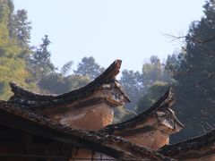 -杨家堂村