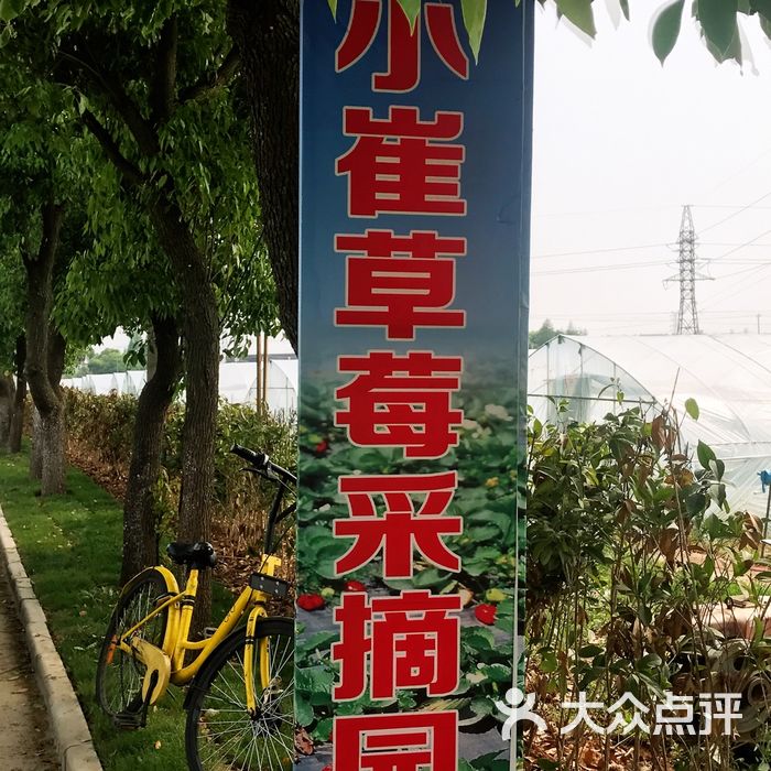 小崔草莓采摘园