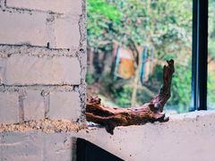 -雅鲁激流探险漂流