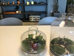 -dotcom coffee古点咖啡(致真大厦店)
