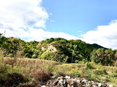 -白河湾生态旅游一条川