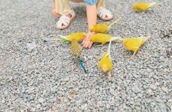 -萌宠亲子动物乐园(槐房万达店)