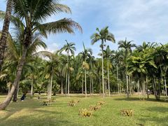 -中国科学院西双版纳热带植物园