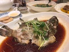清蒸海石斑-南海渔村(珠江新城店)
